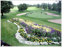 golf
